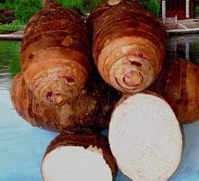 綠色農(nóng)產(chǎn)品大老粗芥末香芋粒 口感獨特的健康零食