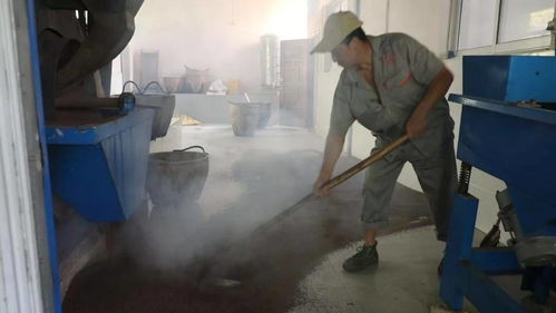 子承父業(yè)守匠心，誠信經(jīng)營耀非遺——池州老字號農(nóng)產(chǎn)品的傳承與新生